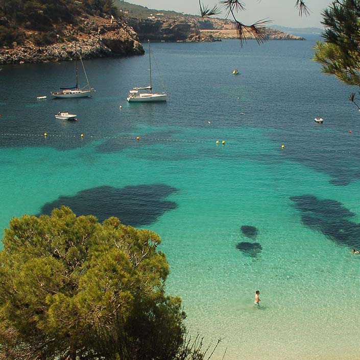 Avante Navega. Albatros II. Cala salada