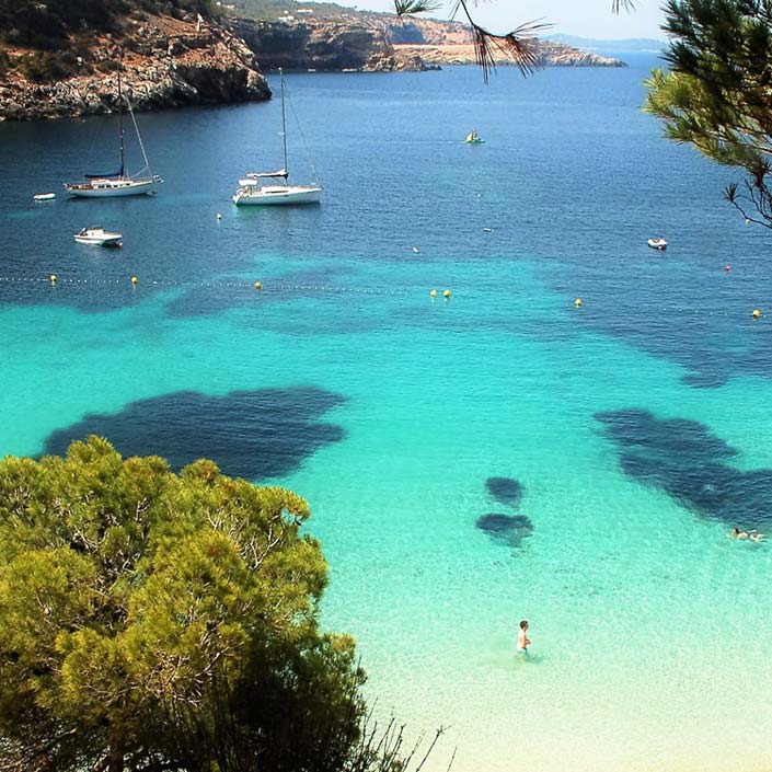 Cala salada