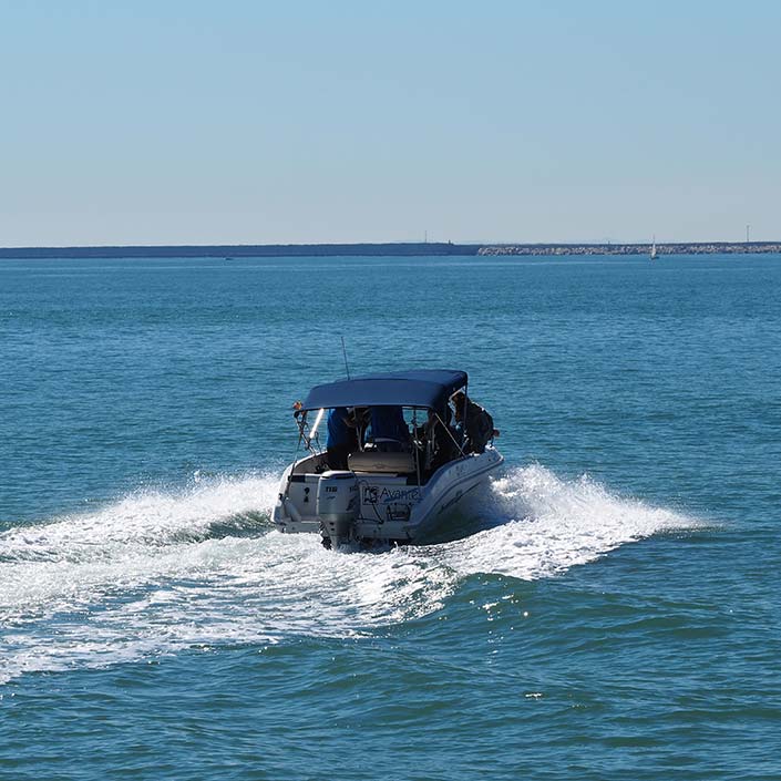 Licencia de Navegación. Barco gobernable