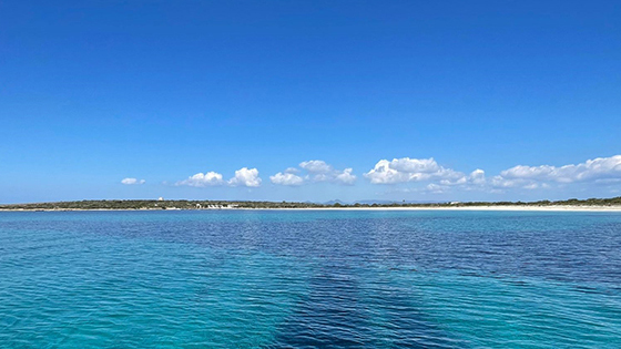 Vistas preciosas de aguas con playa de fondo